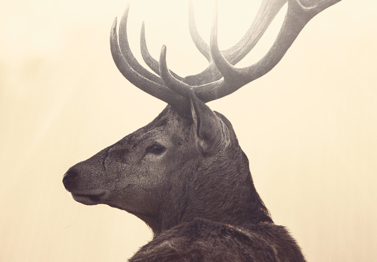 Canvas Print Lurking Deer 105786 additionalImage 5