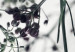 Canvas Blooming Twigs (1 Part) Vertical 116486 additionalThumb 5