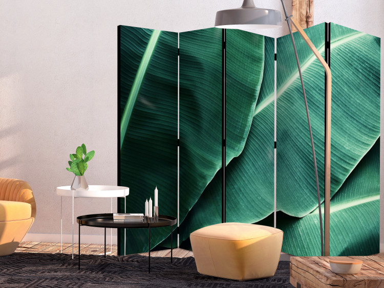 Room Divider Screen Banana Leaves II - texture of green leaves with distinct details 118386 additionalImage 4