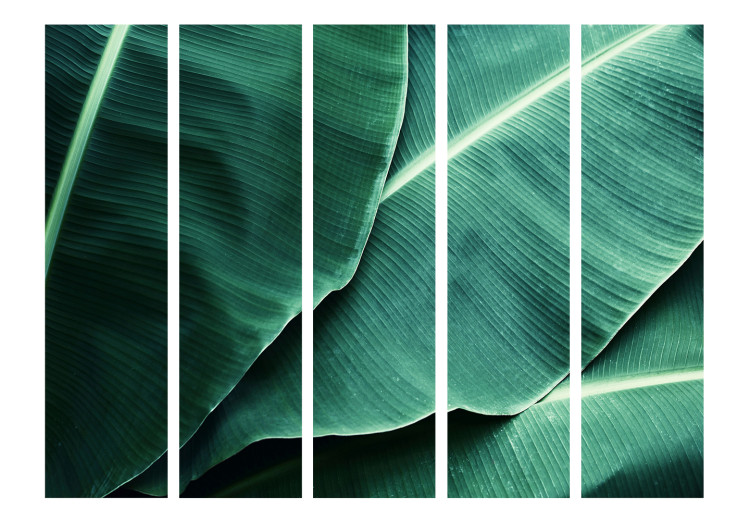 Room Divider Screen Banana Leaves II - texture of green leaves with distinct details 118386 additionalImage 3