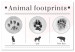 Canvas Print Winter footprints - infographic with animals and English inscriptions 122886