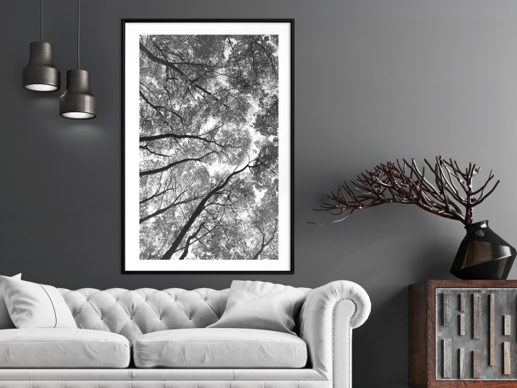 Wall Poster Tall Trees - black and white landscape of trees in the forest against the sky 123486 additionalImage 6