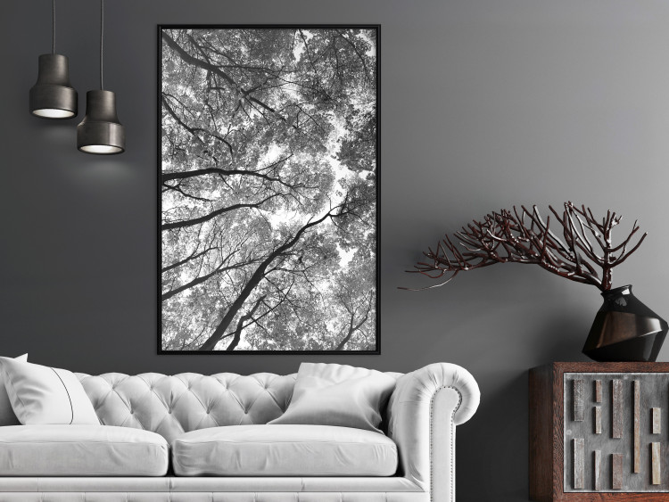 Wall Poster Tall Trees - black and white landscape of trees in the forest against the sky 123486 additionalImage 3