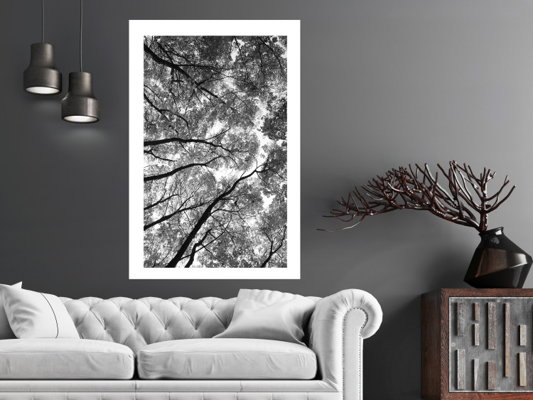 Wall Poster Tall Trees - black and white landscape of trees in the forest against the sky 123486 additionalImage 4