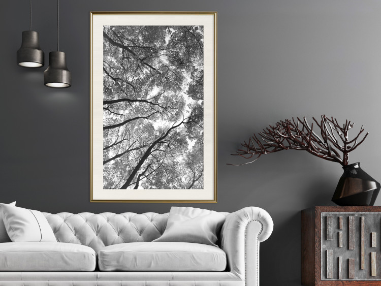Wall Poster Tall Trees - black and white landscape of trees in the forest against the sky 123486 additionalImage 21
