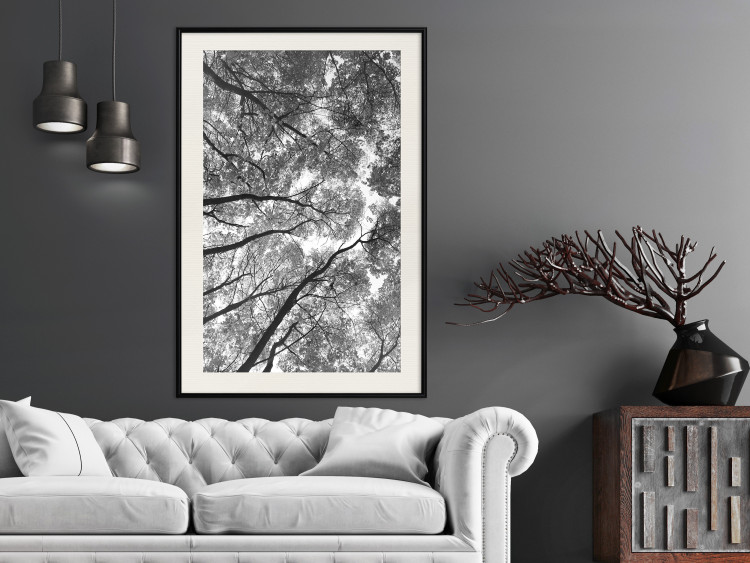 Wall Poster Tall Trees - black and white landscape of trees in the forest against the sky 123486 additionalImage 22