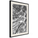 Wall Poster Tall Trees - black and white landscape of trees in the forest against the sky 123486 additionalThumb 3