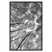 Wall Poster Tall Trees - black and white landscape of trees in the forest against the sky 123486 additionalThumb 24