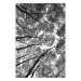 Wall Poster Tall Trees - black and white landscape of trees in the forest against the sky 123486