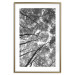 Wall Poster Tall Trees - black and white landscape of trees in the forest against the sky 123486 additionalThumb 14