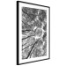 Wall Poster Tall Trees - black and white landscape of trees in the forest against the sky 123486 additionalThumb 13