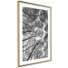 Wall Poster Tall Trees - black and white landscape of trees in the forest against the sky 123486 additionalThumb 6
