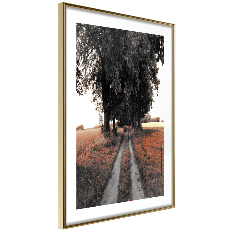 Wall Poster Road to the Forest - landscape of road and trees against orange meadow 124386 additionalImage 6
