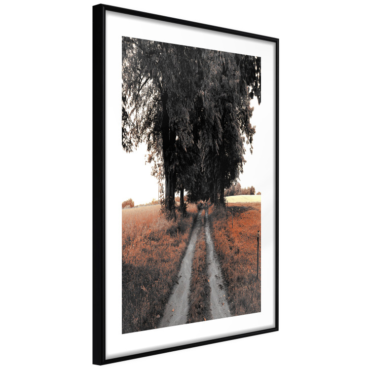 Wall Poster Road to the Forest - landscape of road and trees against orange meadow 124386 additionalImage 13