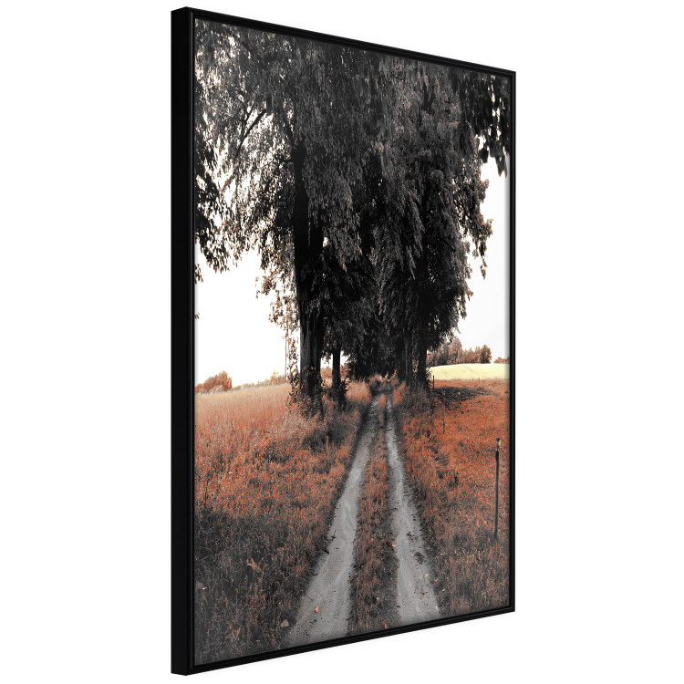 Wall Poster Road to the Forest - landscape of road and trees against orange meadow 124386 additionalImage 10