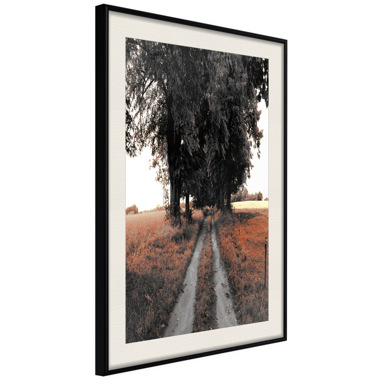 Wall Poster Road to the Forest - landscape of road and trees against orange meadow 124386 additionalImage 3
