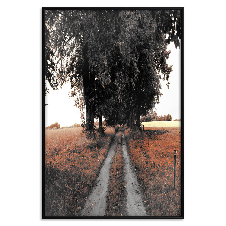 Wall Poster Road to the Forest - landscape of road and trees against orange meadow 124386 additionalImage 24