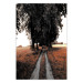 Wall Poster Road to the Forest - landscape of road and trees against orange meadow 124386