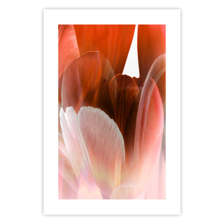 Poster Mysterious Interior - flower with red plant motif with glow 124486 additionalImage 19