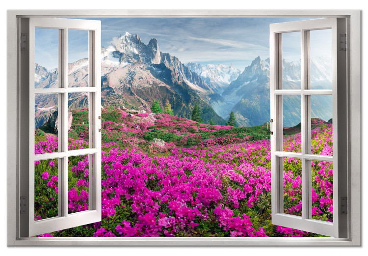 Large canvas print Alpine Rhododendrons [Large Format] 125386