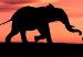 Large canvas print Evening Elephant Walk II [Large Format] 125586 additionalThumb 4
