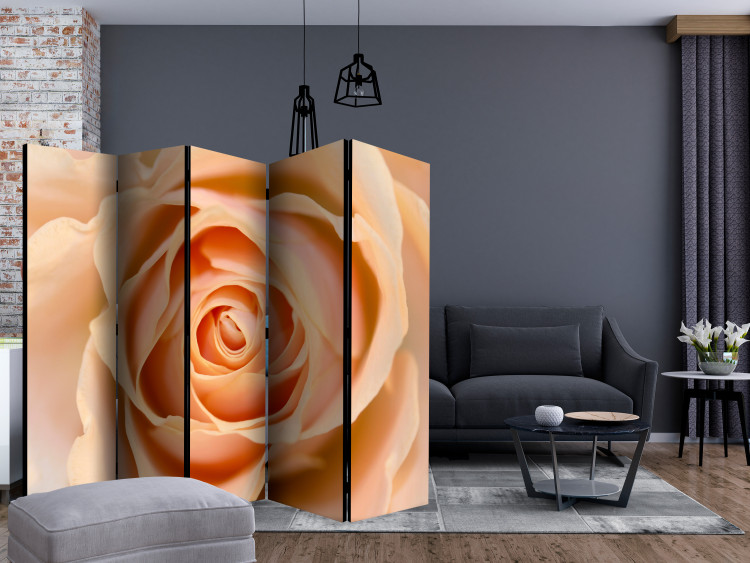 Room Divider Peach-colored Rose II (5-piece) - romantic composition with a rose 132886 additionalImage 4