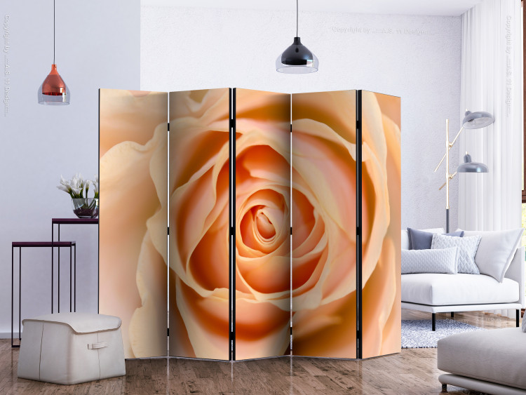 Room Divider Peach-colored Rose II (5-piece) - romantic composition with a rose 132886 additionalImage 2