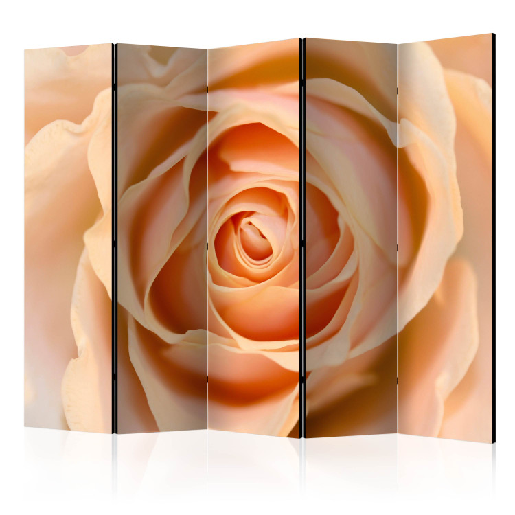 Room Divider Peach-colored Rose II (5-piece) - romantic composition with a rose 132886