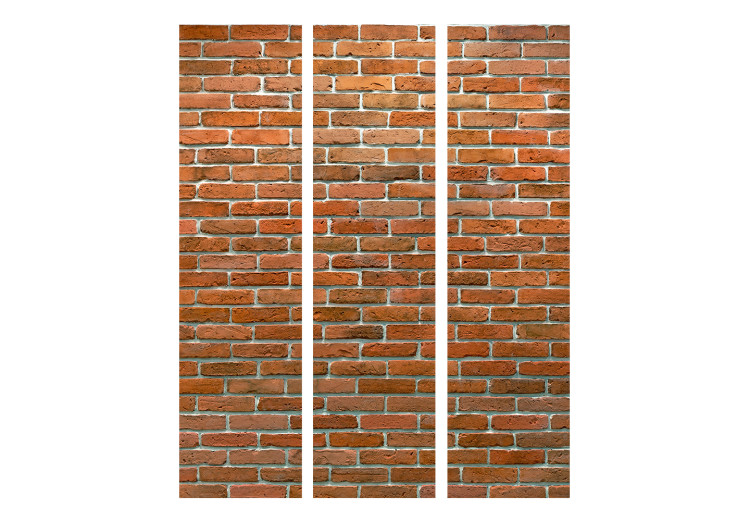 Folding Screen Urban Boundary - texture simulating a building of red bricks 133586 additionalImage 3
