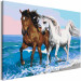 Paint by Number Kit Horses at the Seaside 134886 additionalThumb 5