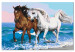 Paint by Number Kit Horses at the Seaside 134886 additionalThumb 4