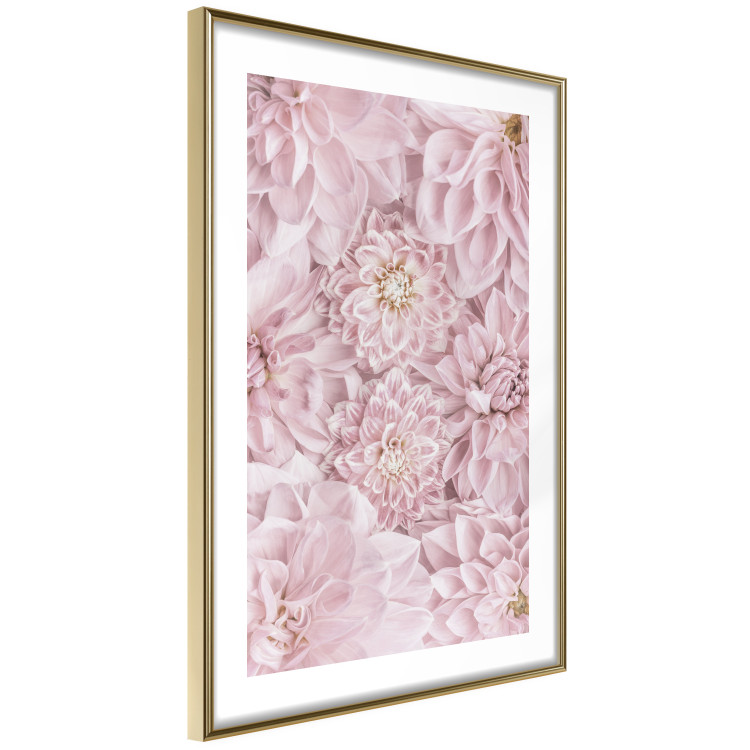 Wall Poster Morning Flowers - composition of pink flowers in a romantic motif 135586 additionalImage 14