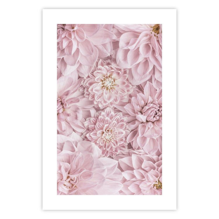 Wall Poster Morning Flowers - composition of pink flowers in a romantic motif 135586 additionalImage 6