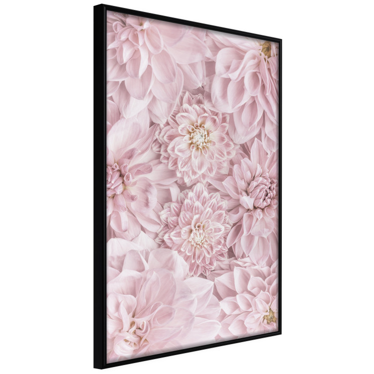Wall Poster Morning Flowers - composition of pink flowers in a romantic motif 135586 additionalImage 23