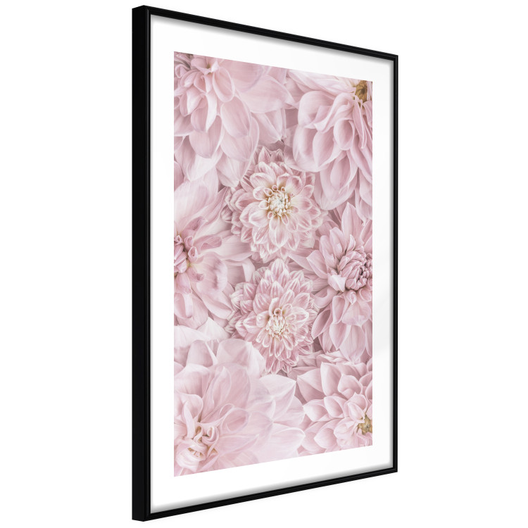 Wall Poster Morning Flowers - composition of pink flowers in a romantic motif 135586 additionalImage 15