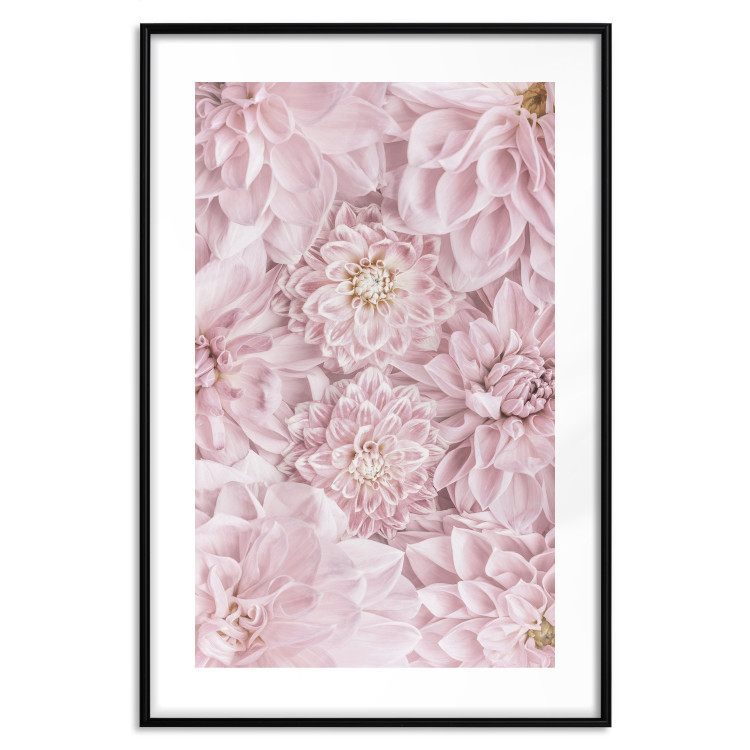 Wall Poster Morning Flowers - composition of pink flowers in a romantic motif 135586 additionalImage 4