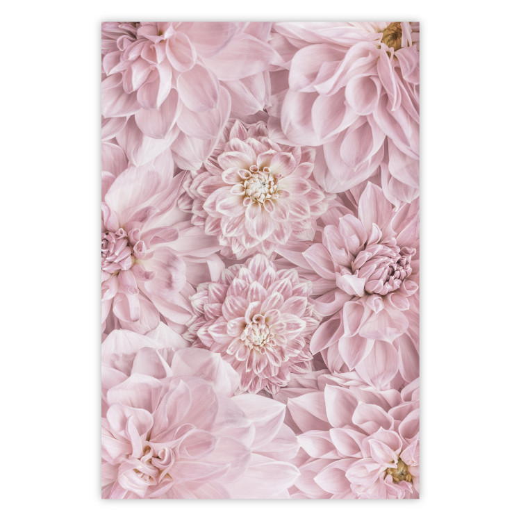 Wall Poster Morning Flowers - composition of pink flowers in a romantic motif 135586