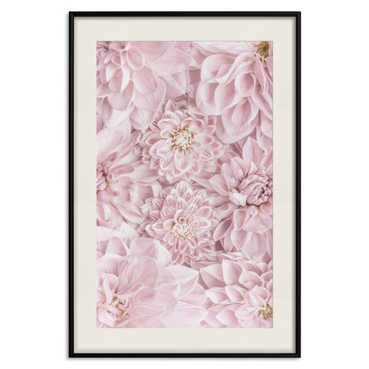Wall Poster Morning Flowers - composition of pink flowers in a romantic motif 135586 additionalImage 2