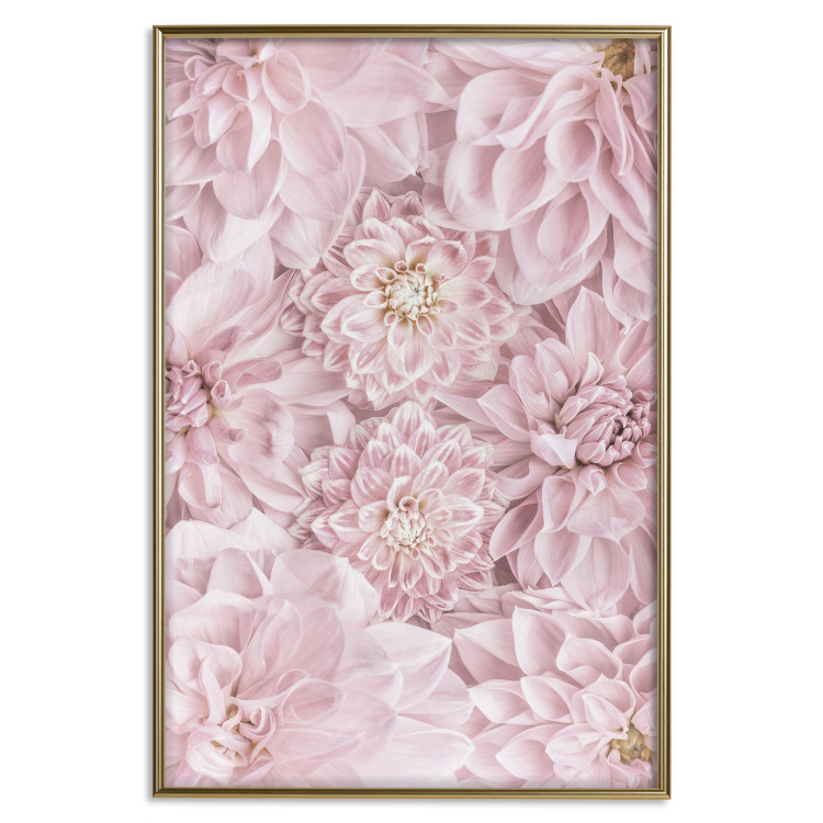 Wall Poster Morning Flowers - composition of pink flowers in a romantic motif 135586 additionalImage 5