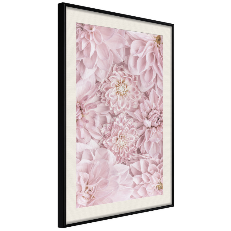 Wall Poster Morning Flowers - composition of pink flowers in a romantic motif 135586 additionalImage 20
