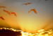 Canvas Art Print Sunset Amidst Clouds (1-piece) - birds against a red sky background 145086 additionalThumb 4