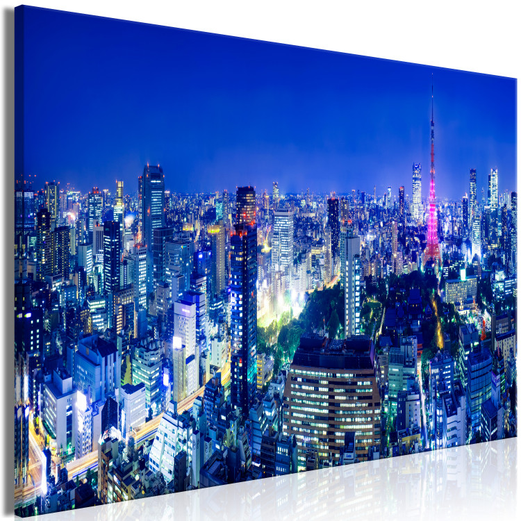 Large canvas print Tokyo: Modern City [Large Format] 149086 additionalImage 2
