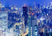 Large canvas print Tokyo: Modern City [Large Format] 149086 additionalThumb 4