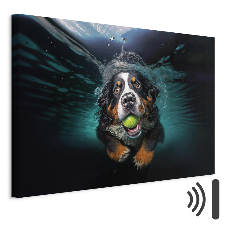 Canvas Print AI Bernese Mountain Dog - Floating Animal With a Ball in Its Mouth - Horizontal 150086 additionalImage 8
