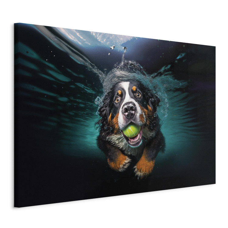 Canvas Print AI Bernese Mountain Dog - Floating Animal With a Ball in Its Mouth - Horizontal 150086 additionalImage 2