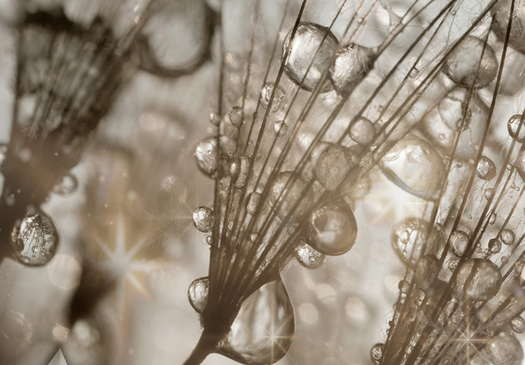 Print On Glass Abstract Gray Dandelions With Sparkles [Glass] 150586 additionalImage 5