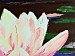 Canvas Art Print Lilies 46886 additionalThumb 4