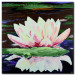 Canvas Art Print Lilies 46886