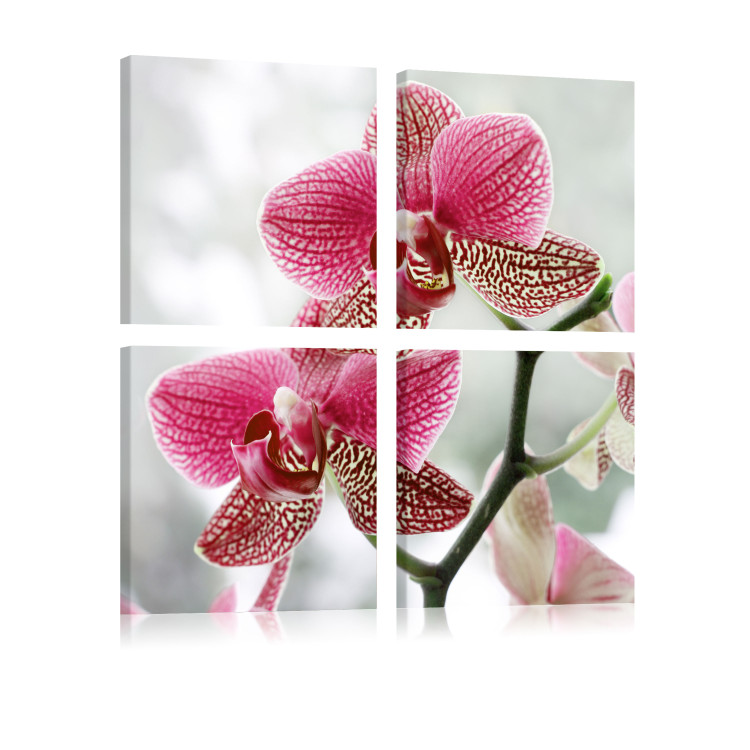 Canvas Print Fancy orchid 58686 additionalImage 2