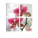 Canvas Print Fancy orchid 58686 additionalThumb 2